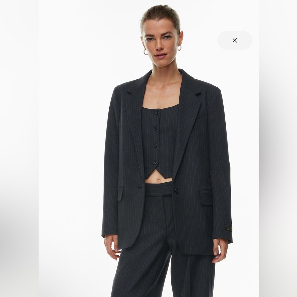 Aritzia Navy Pinstripe Generation Blazer